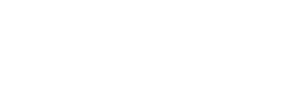 APC - American Prosthetic Components