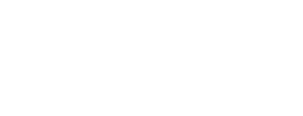 APC - American Prosthetic Components